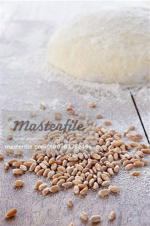Cereal Grain and Mound of Dough Cereal Grain and Mound of Dough