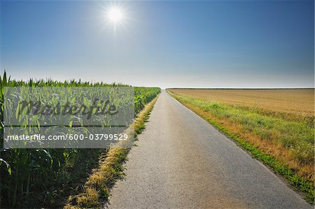 Country Road between Fields, Unterpleichfeld, Franconia, Bavaria, Germany