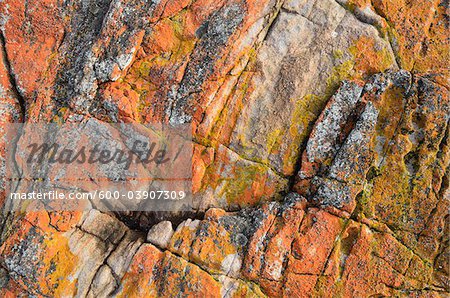 Red Lichen On Rocks Wineglass Bay Freycinet National Park