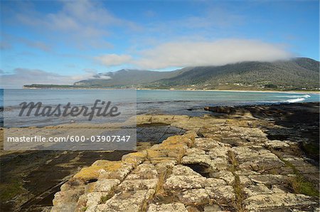 Tessellated Pavement, Pirates Bay, Tasman Peninsula, Tasmania, Australia