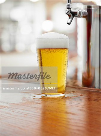 Glass of Beer on Bar Counter