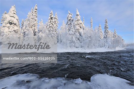 Kitkajoki River and Snow Covered Forest, Kuusamo, Northern Ostrobothnia, Finland