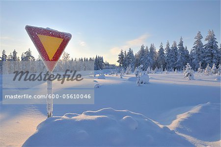 Yield Sign in Snow, Kuusamo, Northern Ostrobothnia, Finland