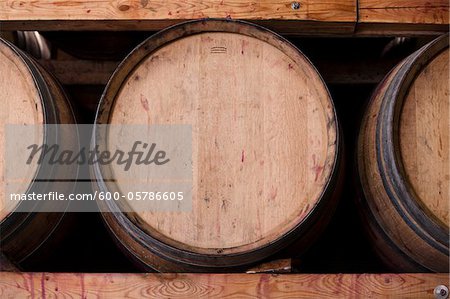 Barrels at  Vineyard, Niagara Region, Ontario, Canada