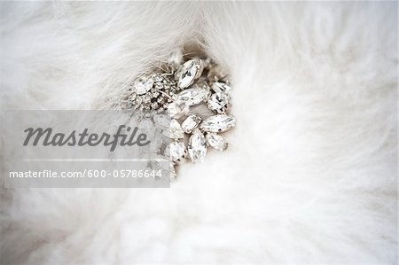 Jewelry on Fur