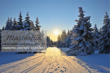 Snow Covered Trees and Ski Trail, Schneekopf, Gehlberg, Thuringia, Germany