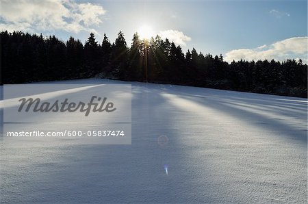 Winter Landscape near Villingen-Schwenningen, Black Forest, Baden-Wurttemberg, Germany