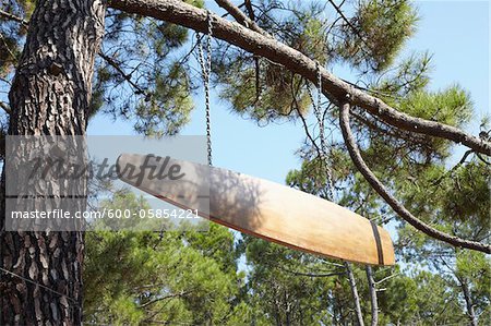 Sign Hanging from Tree, Arcachon, Gironde, Aquitaine, France Sign Hanging from Tree, Arcachon, Gironde, Aquitaine, France