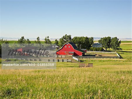 Farm, Pincher Creek, Alberta, Canada