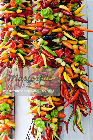 Mixture of Chili Peppers Mixture of Chili Peppers