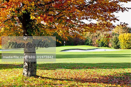 Golf Course with Trees in Autumn, North Rhine-Westphalia, Germany