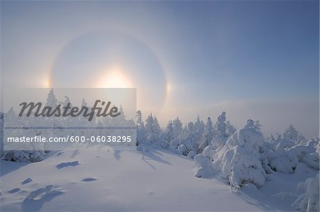 Halo over Snow Covered Trees, Fichtelberg, Ore Mountains, Saxony, Germany