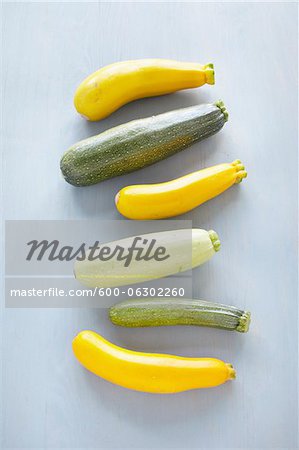 Variety of Zucchini