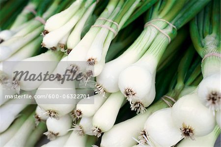 Close-up of Organic Scallions at Farmers Market