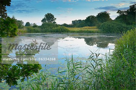 Lake in Kuhkopf-Knoblochsaue Nature Reserve, Hesse, Germany