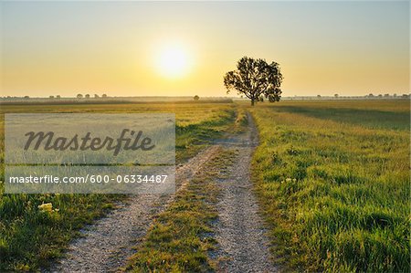 Path, Tadten, Burgenland, Austria Path, Tadten, Burgenland, Austria