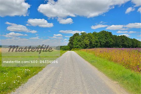 Country Road and Fields, Arnstein, Main-Spessart, Franconia, Bavaria, Germany