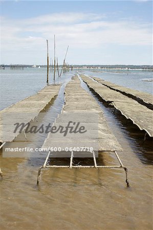 Oyster Beds at Low Tied, Cap Ferret, Gironde, Aquitaine, France