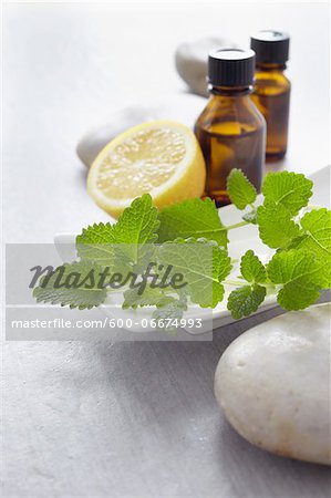 Sprig of lemon balm, fresh herbs, lemon and bottles of essential oil for aromatherapy