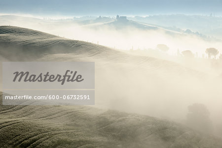 Typical Tuscany landscape in morning with fog near San Quirico d'Orcia. Val d'Orcia, Orcia Valley, Siena district, Tuscany, Toscana, Italy.