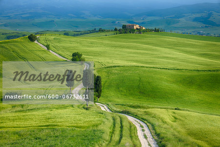 Track passing through green fields with cypress trees. Pienza, Siena Province, Val d´Orcia, Tuscany, Italy.