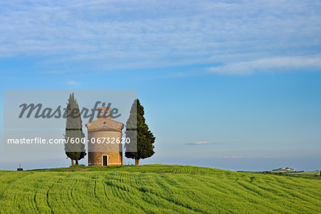 Chapel of Vitaleta with Cypress Trees in green field, Val d´Orcia, Siena Province, Tuscany, Italy.