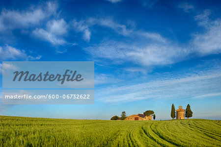 Chapel of Vitaleta and Farmhouse with Cypress Trees in green field, Val d´Orcia, Siena Province, Tuscany, Italy.