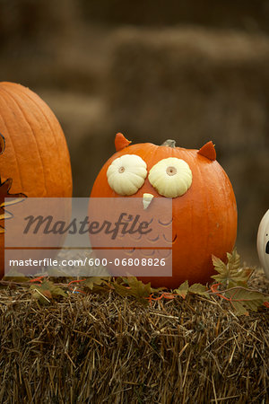 Jack-o-lanterns on Hay Bale, Ontario, Canada Jack-o-lanterns on Hay Bale, Ontario, Canada