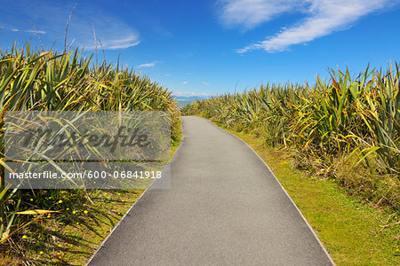Footpath in Summer, Pancake Rocks, West Coast, South Island, New Zealand