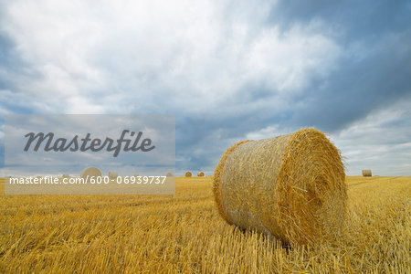 Straw rolls on stubblefield and rain clouds, Hesse, Germany, Europe