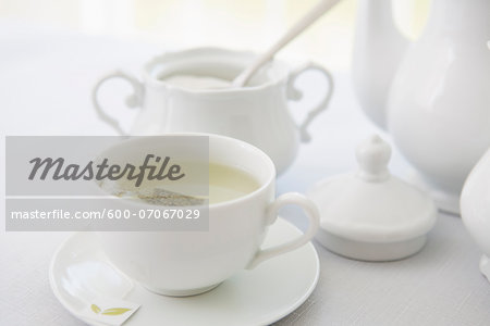 Cup of tea in porcelain white teacup with saucer, sugar bowl, and teapot, studio shot
