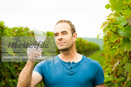 Close-up of vintner standing in vineyard, holding galss of wine and examining quality, Rhineland-Palatinate, Germany