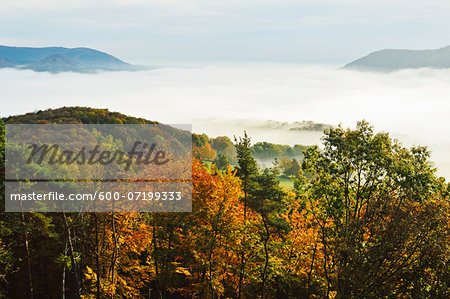 Palatinate Forest, near Annweiler, Rhineland-Palatinate, Germany