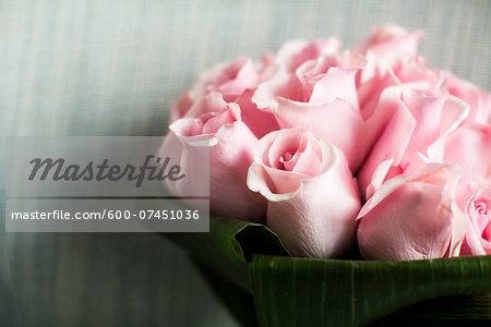 Close-up of Bouquet of Pink Roses