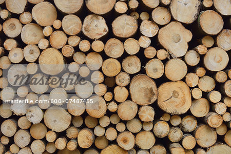 Stack of Spruce Logs, Spessart, Hesse, Germany, Europe
