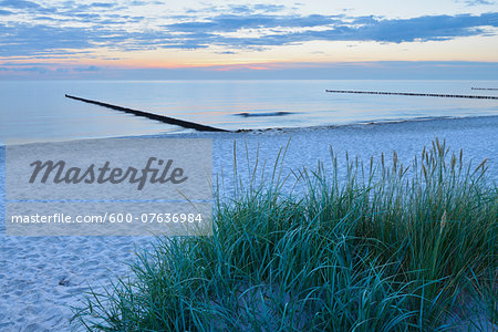 Dune and Groyne before Sunrise, Baltic Sea, Zingst, Darss, Fischland-Darss-Zingst, Mecklenburg-Western Pomerania, Germany