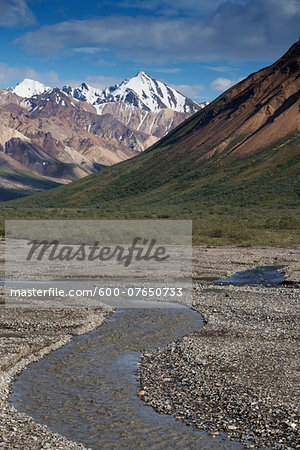 Stream, Denali National Park, Alaska, USA