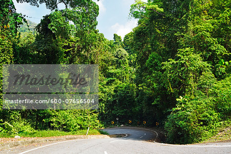 Road through Rainforest, Pulau Pangkor, Perak, Malaysia