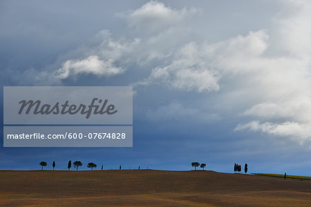 Field with Pine and Cypress Trees and Storm Clouds, San Quirico d'Orcia, Val d'Orcia, Province of Siena, Tuscany, Italy