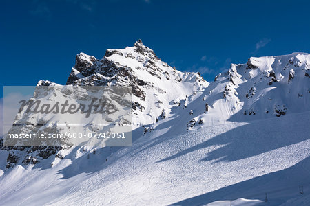 Monti Alti di Ornella, Arabba, Alto Agordino, Belluno District, Veneto, Italy