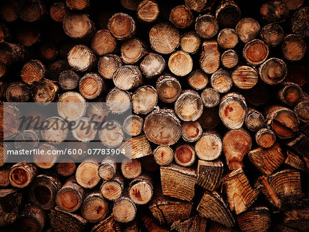 Stack of wood logs, Germany