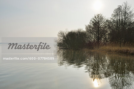 Morning scene at Lake Schwerin, Schweriner Innensee, Schwerin, Western Pomerania, Mecklenburg-Vorpommern, Germany Morning scene at Lake Schwerin, Schweriner Innensee, Schwerin, Western Pomerania, Mecklenburg-Vorpommern, Germany