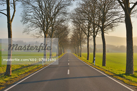Country road in the morning, Echte, Kalefeld, Harz, Lower Saxony, Germany