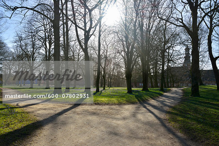 Forked Path in Spring with Sun, Husum Schlosspark, Schleswig-Holstein, Germany