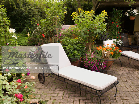 Private Patio and Garden of Home with Lounge Chair and Towels, Toronto, Ontario, Canada Private Patio and Garden of Home with Lounge Chair and Towels, Toronto, Ontario, Canada