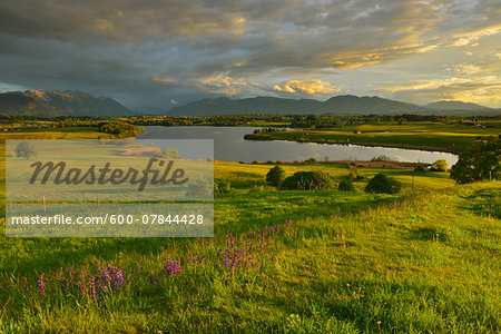 Countryside at sunset in spring, Lake Riegsee, Upper Bavaria, Bavaria, Germany