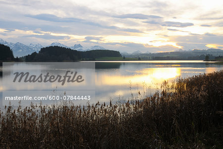 Lake at Sunrise, Illasbergsee, Halblech, Bavaria, Germany