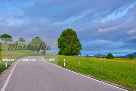 Country Road in Spring, Riegsee, Garmisch-Partenkirchen, Upper Bavaria, Bavaria, Germany