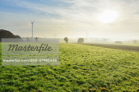 Countryside in Morning with Sun, Freiensteinau, Vogelsbergkreis, Hesse, Germany