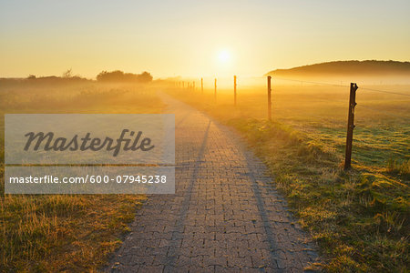 Path through Countryside with Morning Mist, Summer, Norderney, East Frisia Island, North Sea, Lower Saxony, Germany